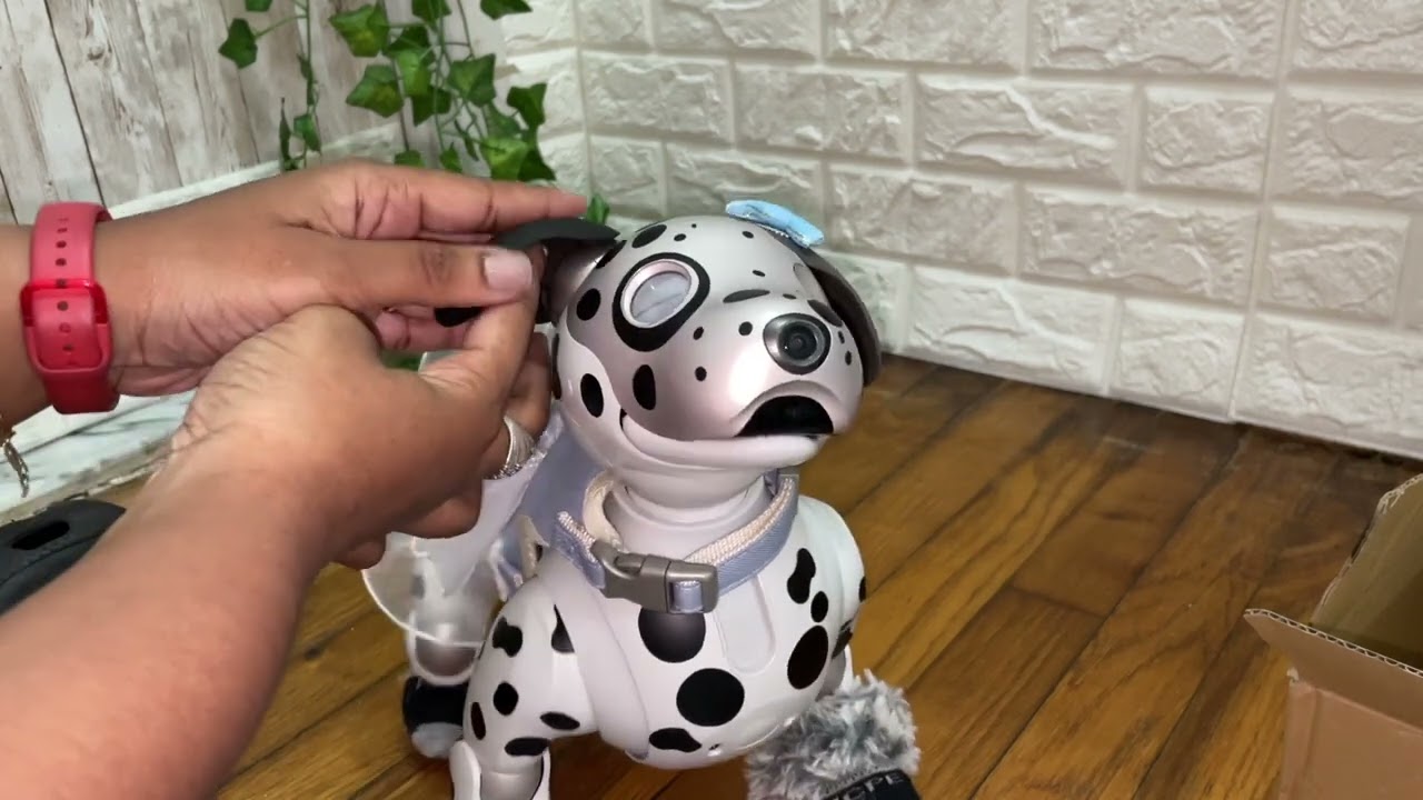A.I Robot Dog U.S Custom Look With Japanese Ears & Tail Set