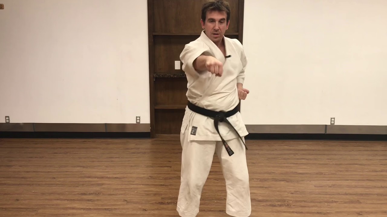 Shotokan Karate - Basic Punch Training by Paul Gale Network