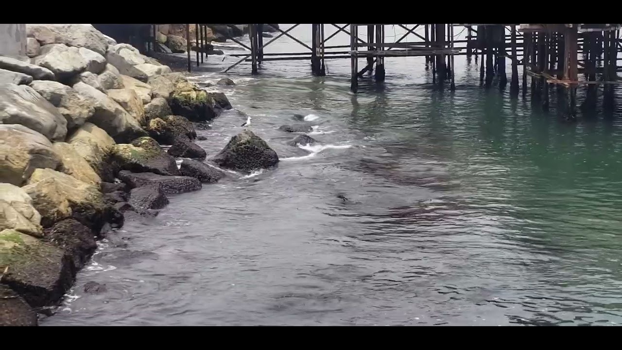 Artificial Rocky Shores