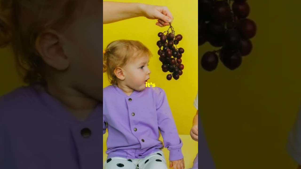 The Sweet History of Grapehead!