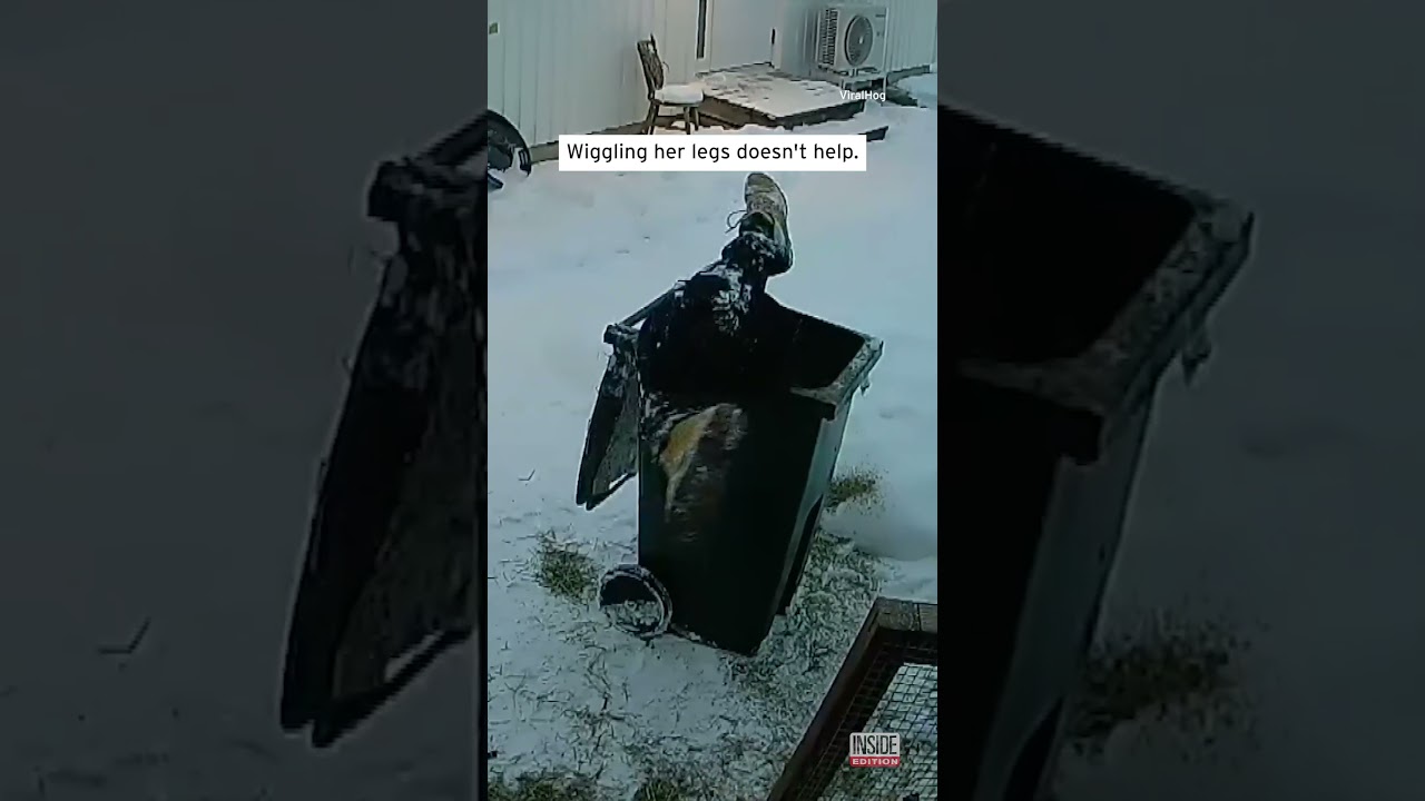 Woman Gets Stuck in Trash Can #shorts