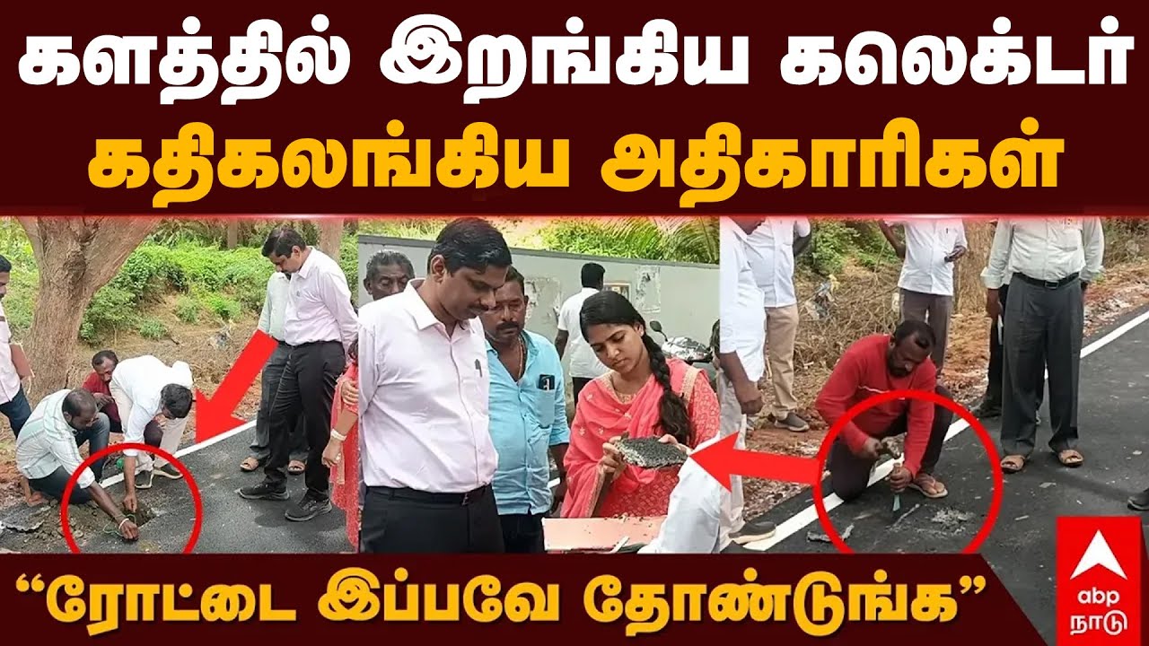 Thoothukudi Collector | களத்தில் இறங்கிய கலெக்டர் கதிகலங்கிய அதிகாரிகள் ”ரோட்டை இப்பவே தோண்டுங்க”