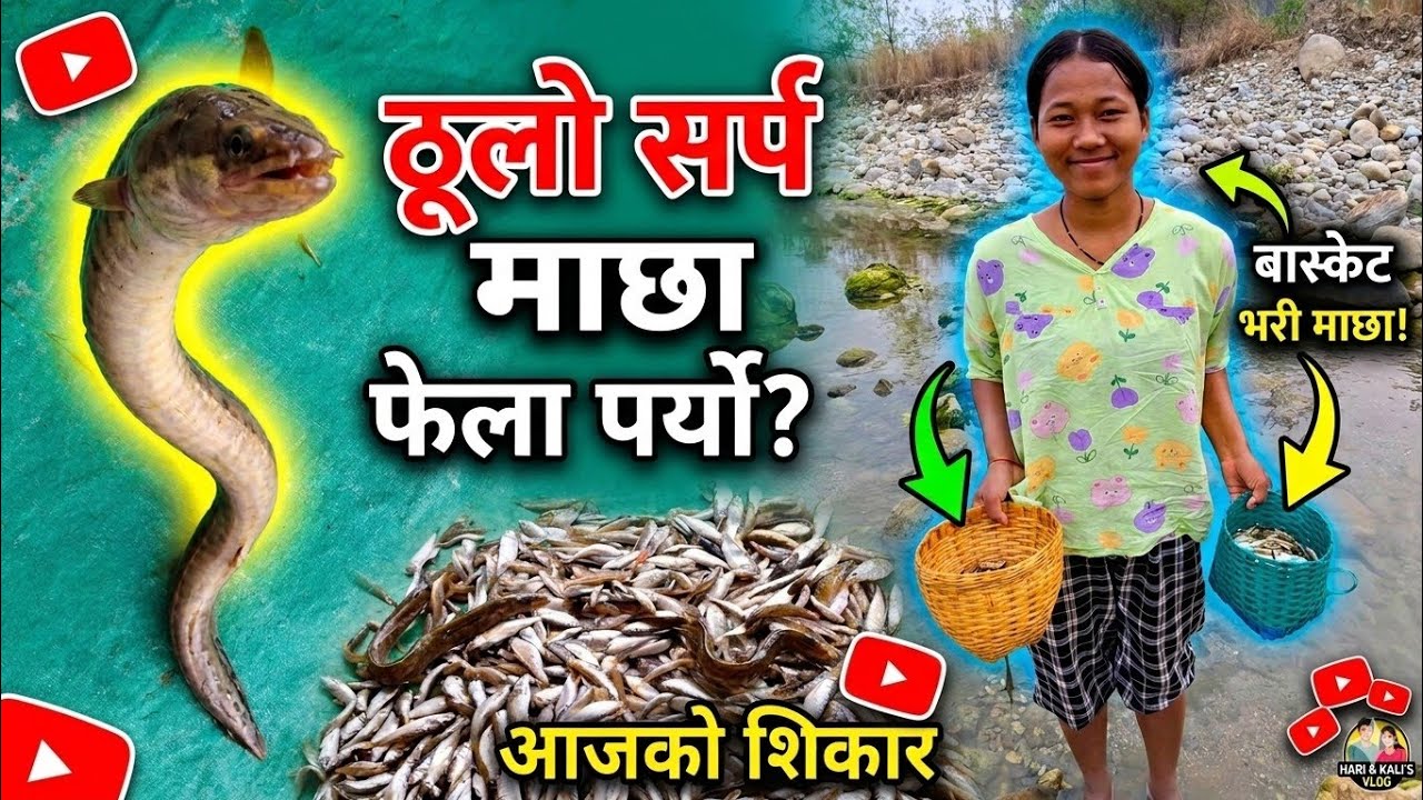 Thulo maxa fela paryo aaj 