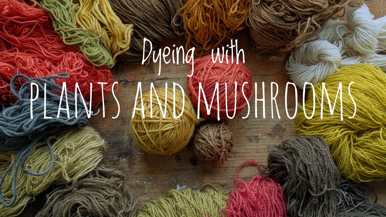 I spent a year dyeing with plants and mushrooms