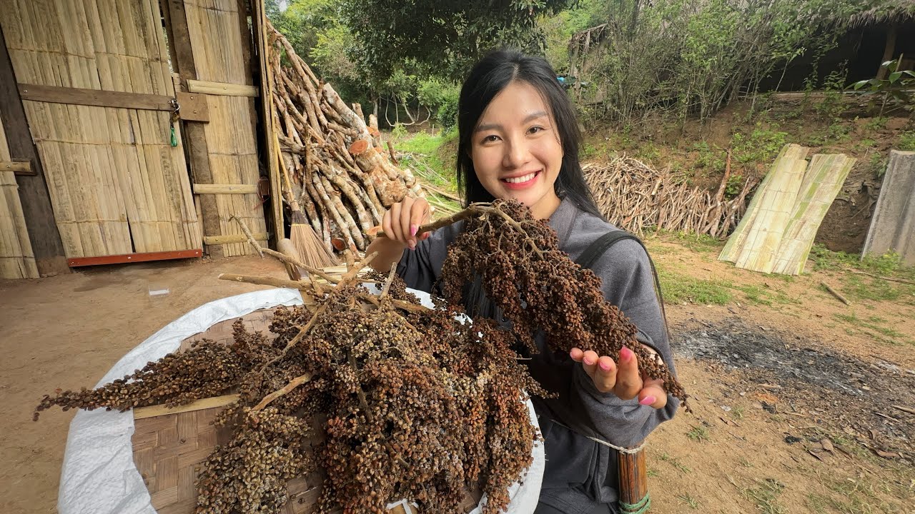 ทำฟากไม้ไผ่วิถีชีวิตบนดอย เรียบง่าย แต่มีความสุข #ธรรมมชาติ #วิถีชาวบ้าน