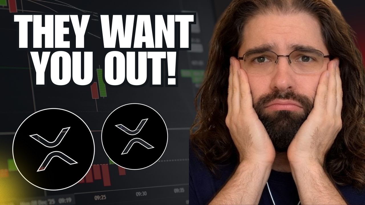 I Tracked Huge XRP Whale Moves (Shocking)
