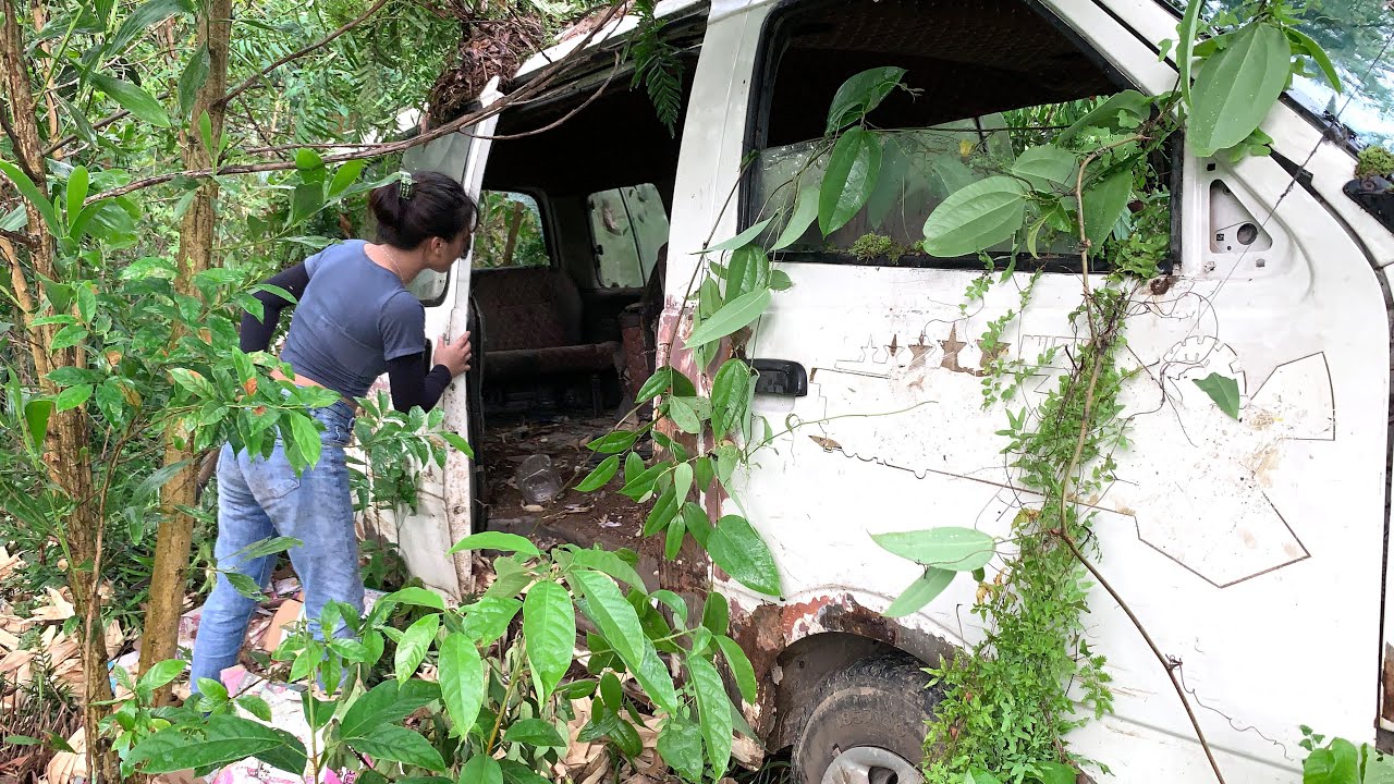 Restore the old car in the forest for many years no one knows