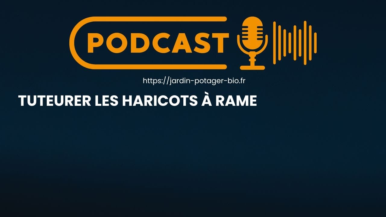 Tuteurer les Haricots &agrave; Rame : Techniques Simples pour un Potager Productif