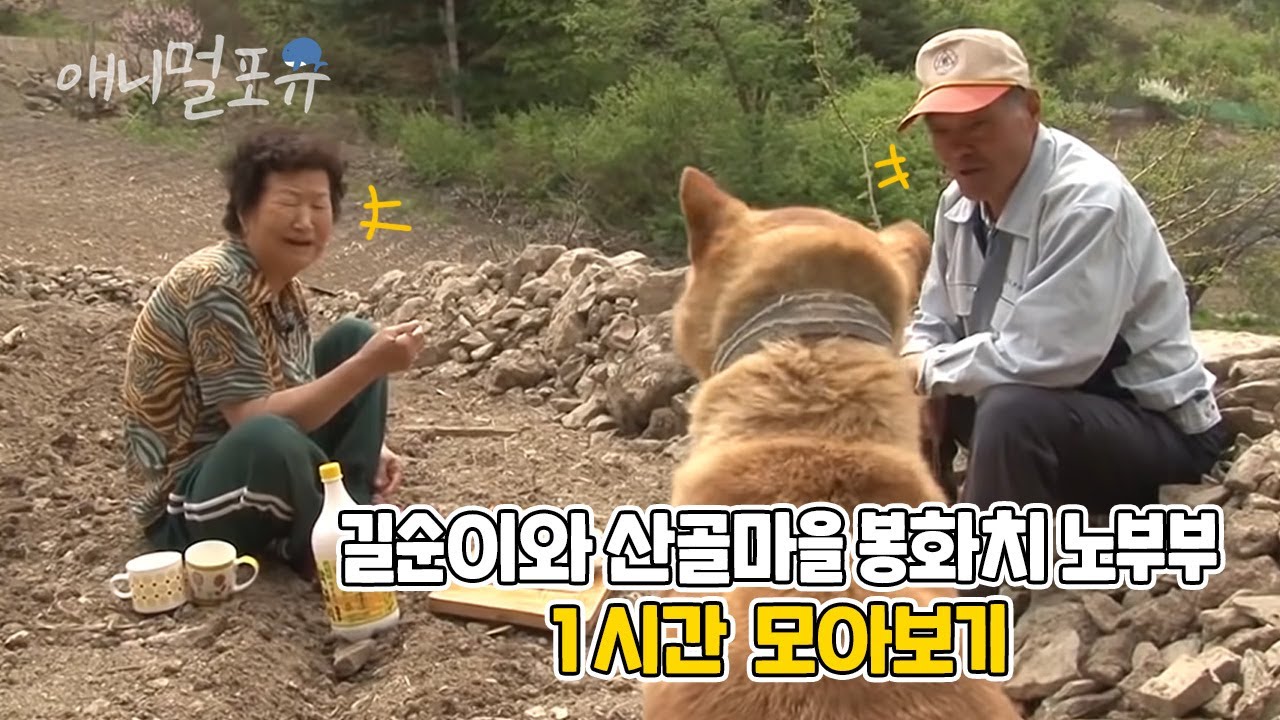 생라면만 보면 난리나는 길순이와 산골마을 봉화치 노부부의 시트콤같은 이야기 모아보기🐶 | 마지막화까지 풀버전! | KBS 단짝 2015 방송