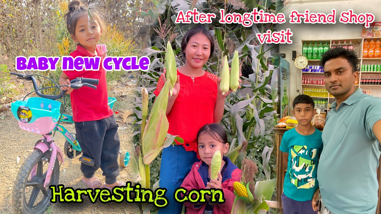 Baby new cycle,harvesting corn, after long time friend shop visit,