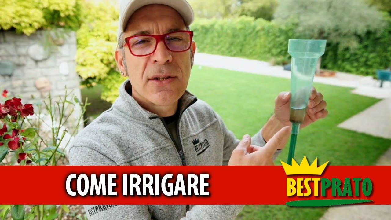 COME IRRIGARE DURANTE LA SEMINA DI UN PRATO