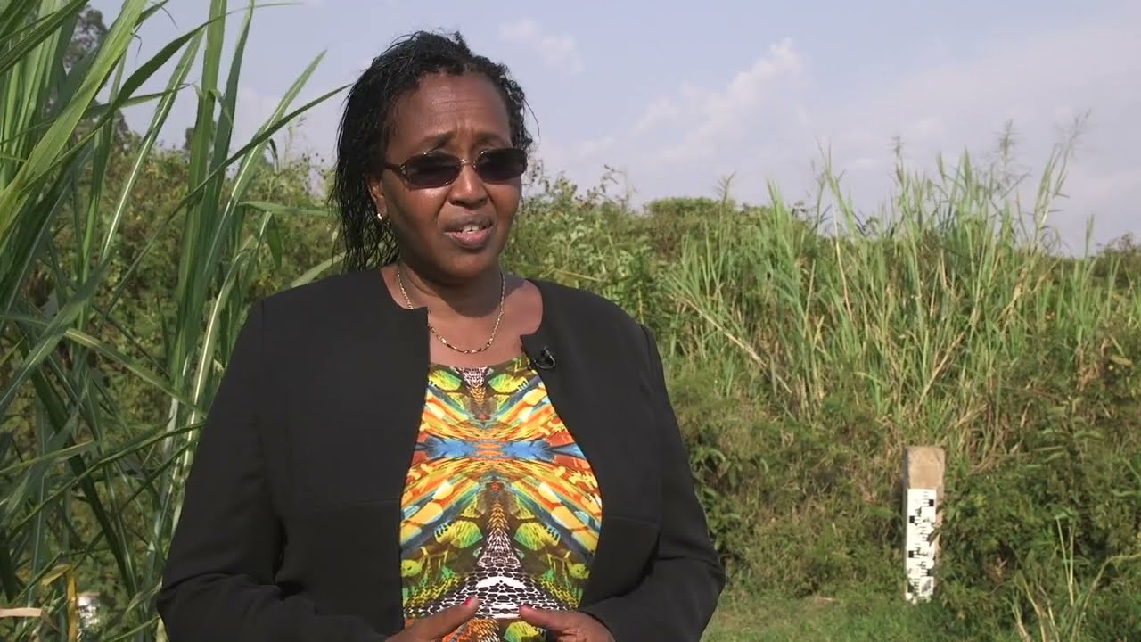 Nzoia Watershed Management