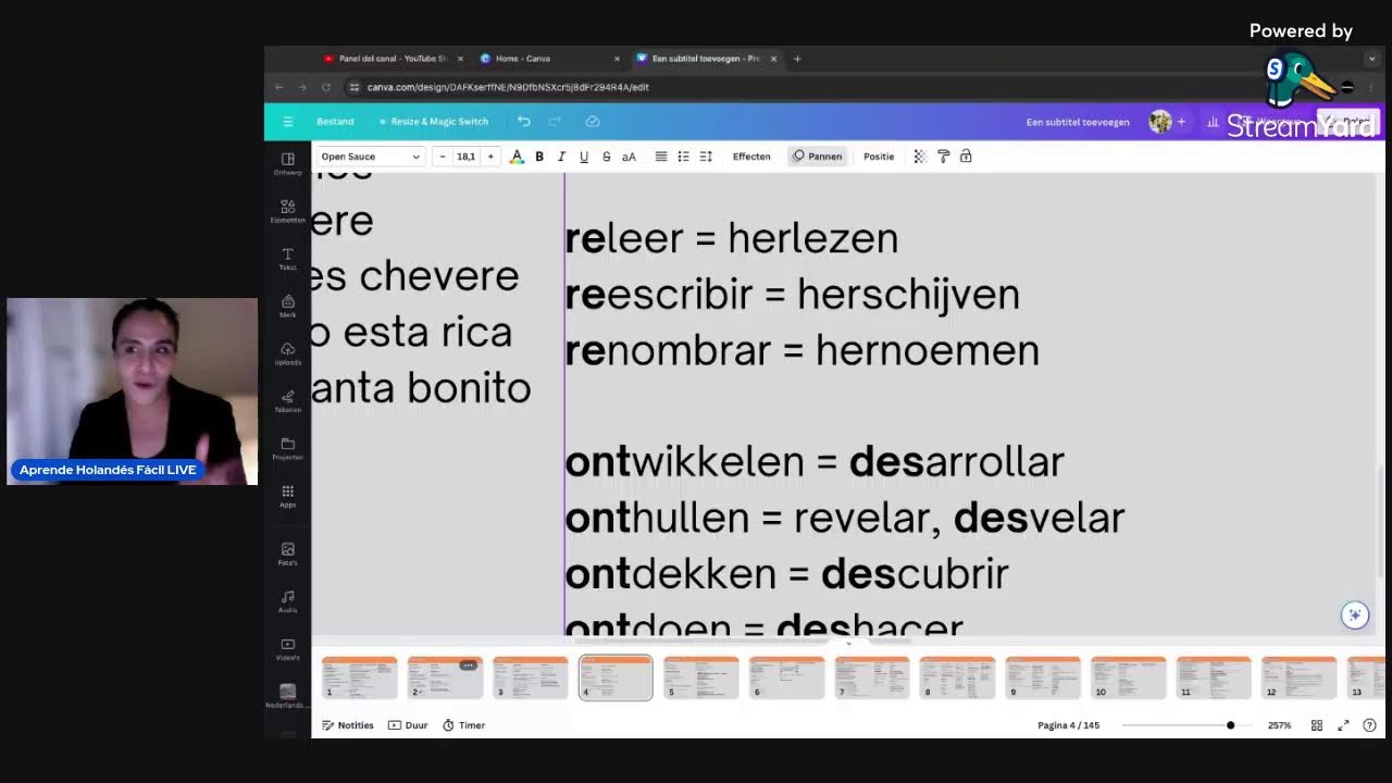 Aprende Holandés Fácil LIVE