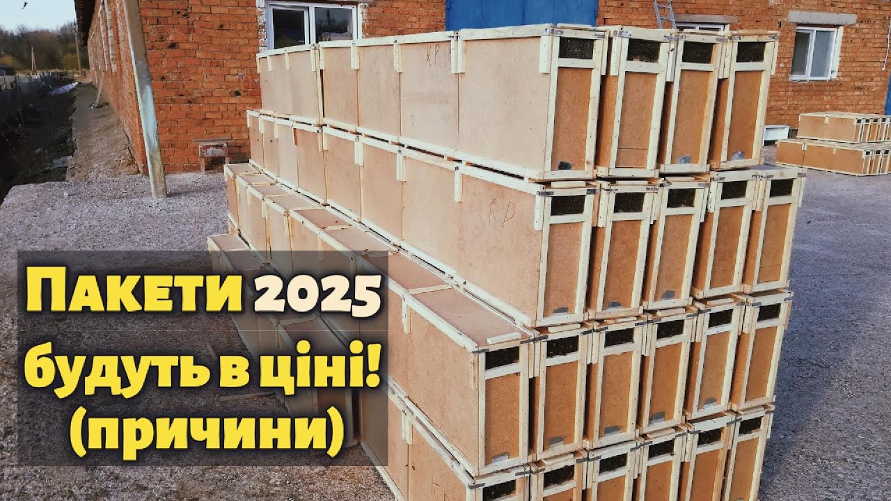 Ціна на бджолопакети в 2025. Від чого буде залежати?