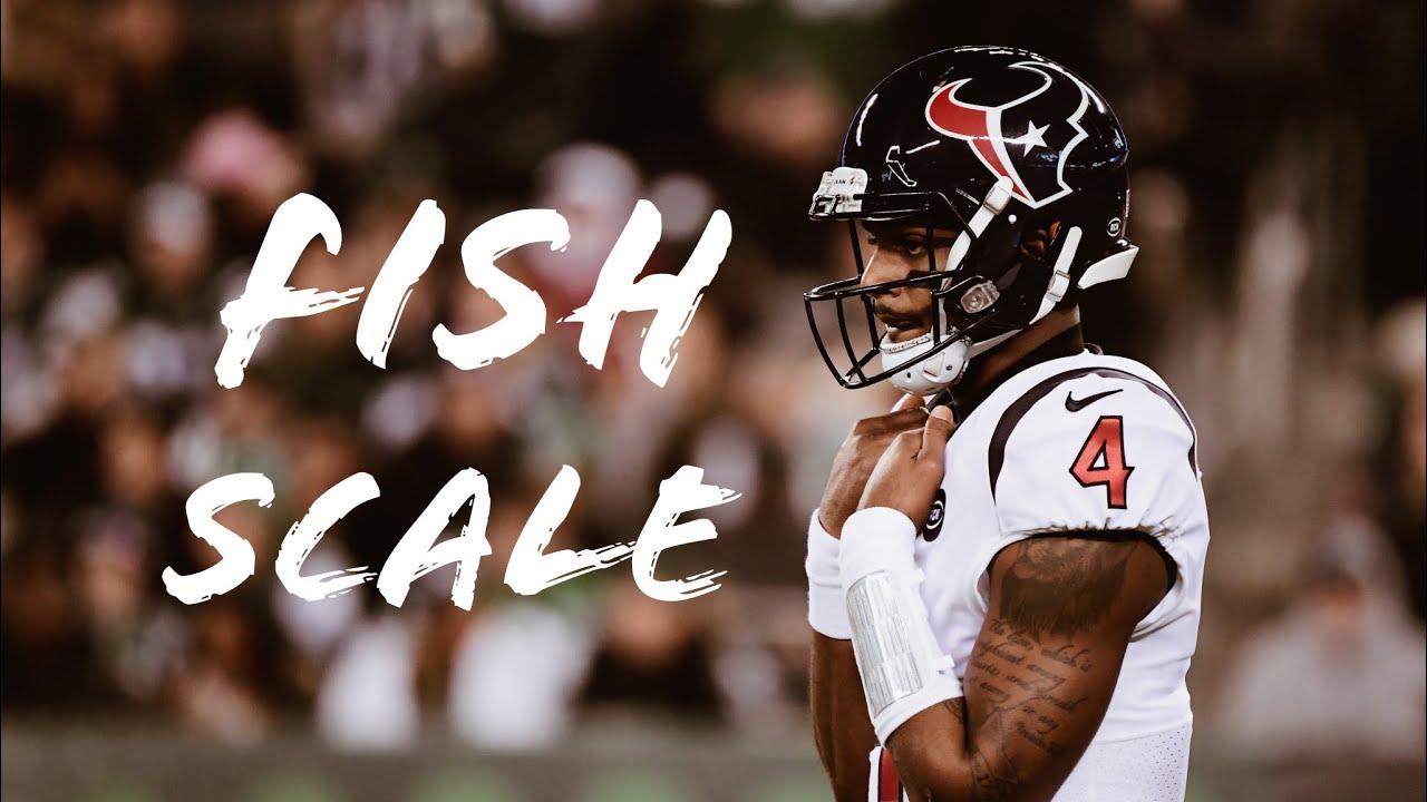 Deshaun Watson Mix 2022 || Fish Scale || HD