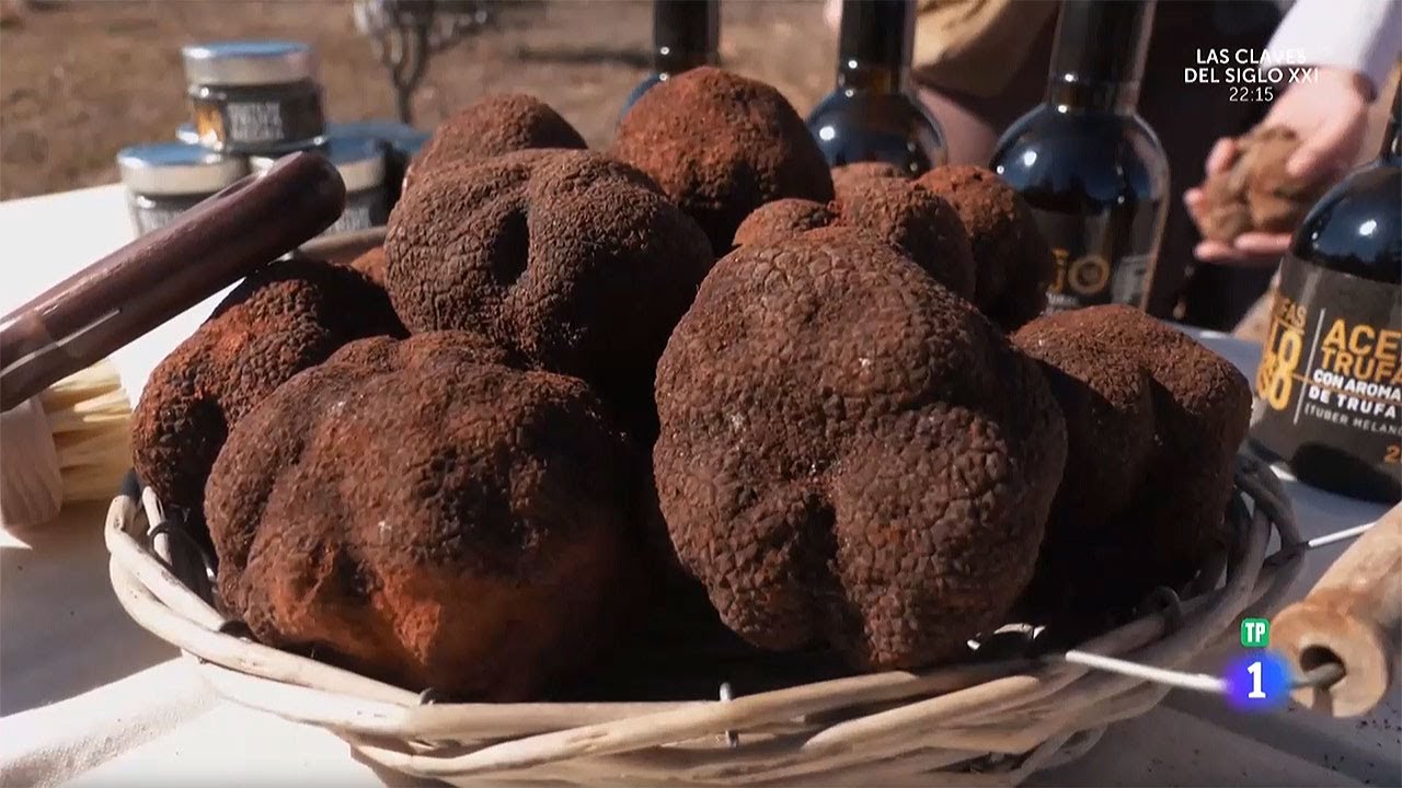 Entrevista en Aquí la Tierra de TVE. Trufa negra en plantaciones de Guadalajara