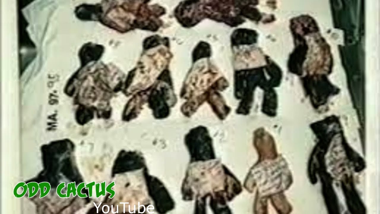 法醫解剖竟發現男子肚裡塞了12個娃娃      ｜離奇真實案件