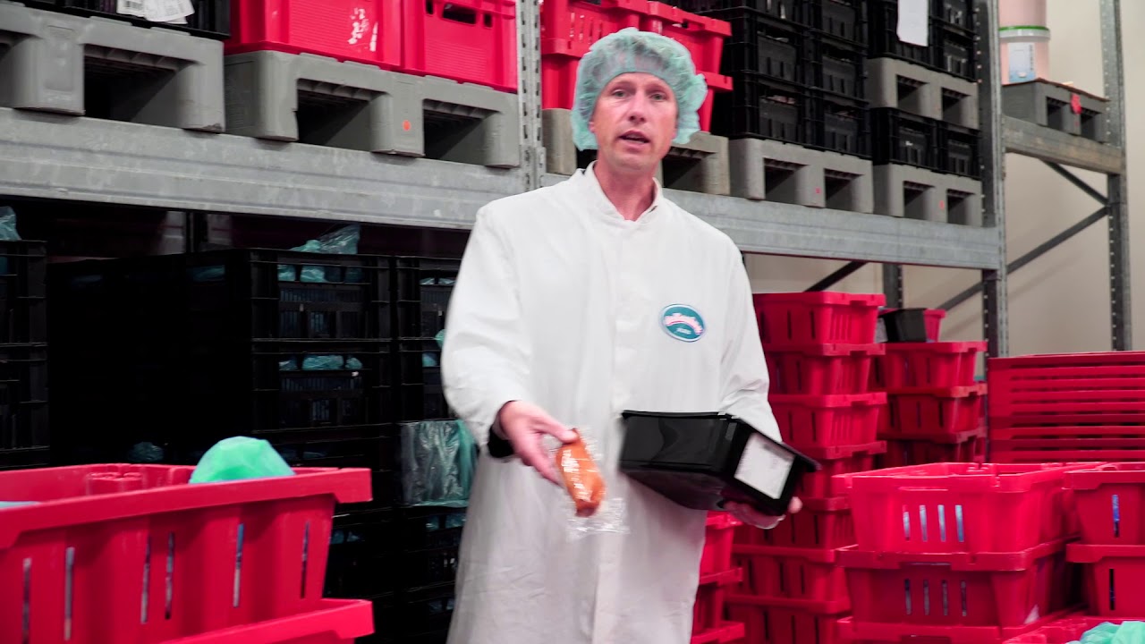 De Koning Vlees | ZOZWIJNDRECHT