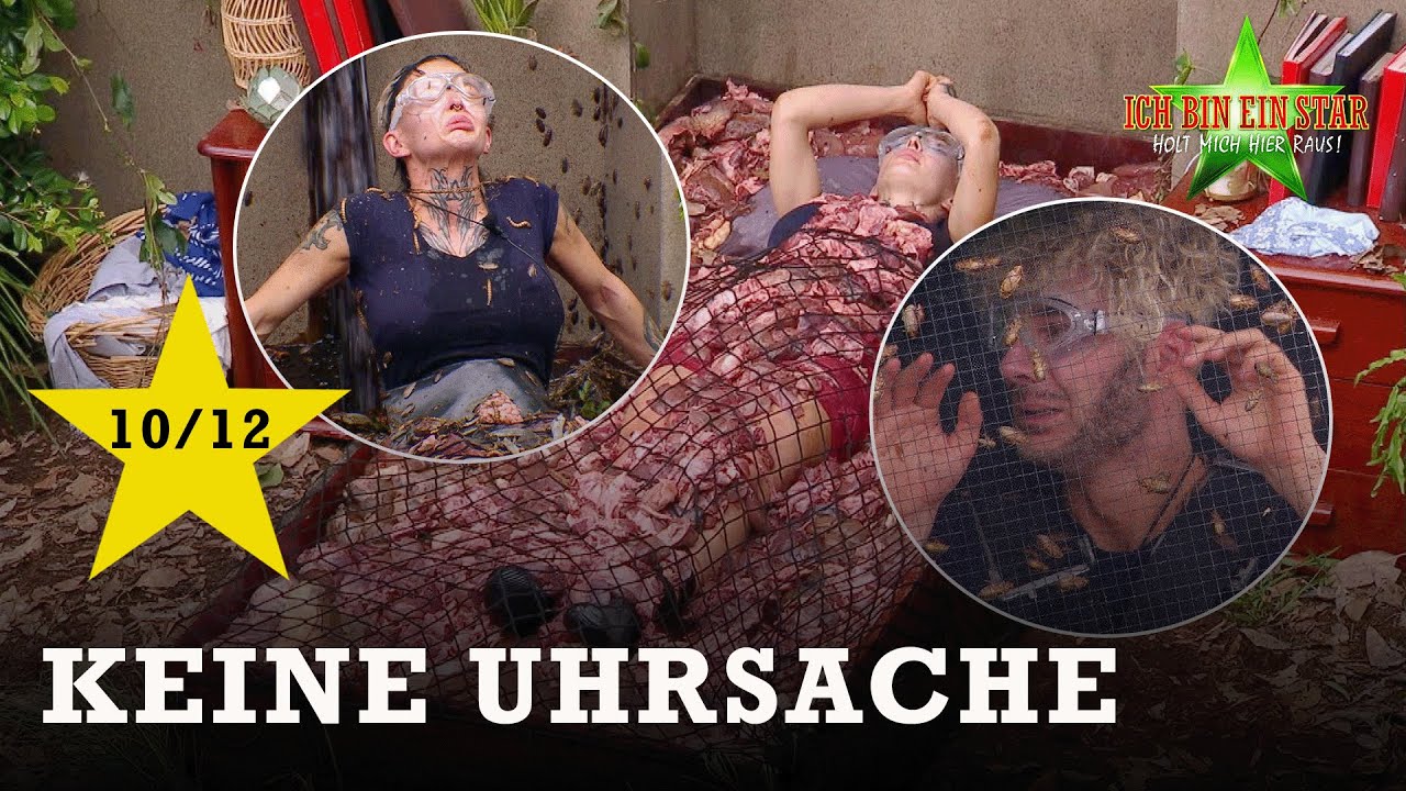 Glanzleistung​✨​😍​ SAM überrascht ALLE! ​​​| Dschungelcamp 2025 🐍​
