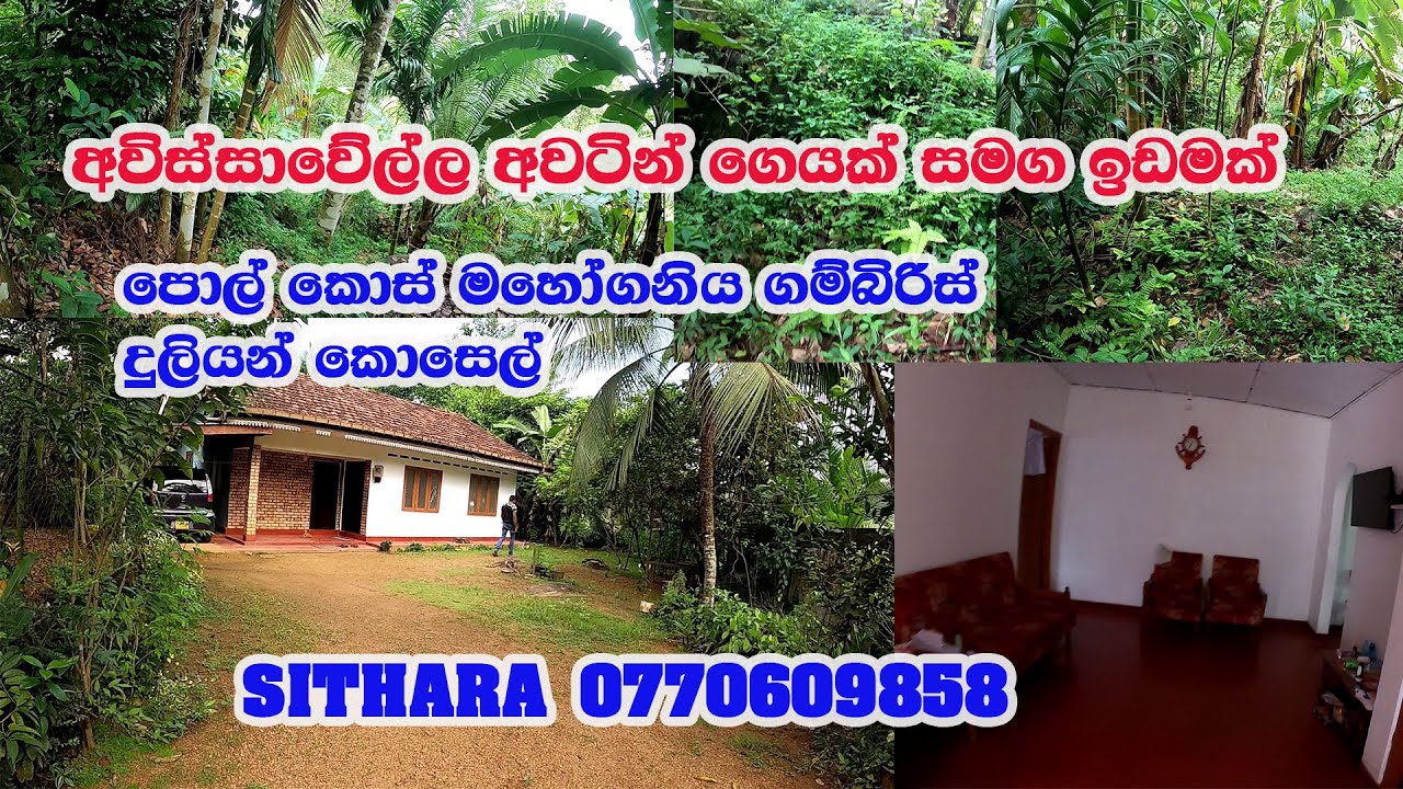 අවිස්සාවේල්ල අවටින් නිවසක් /දු.ක 0770609858 /පර්ච්ස් 55 යි /IDAM /LAND/ GEWAL