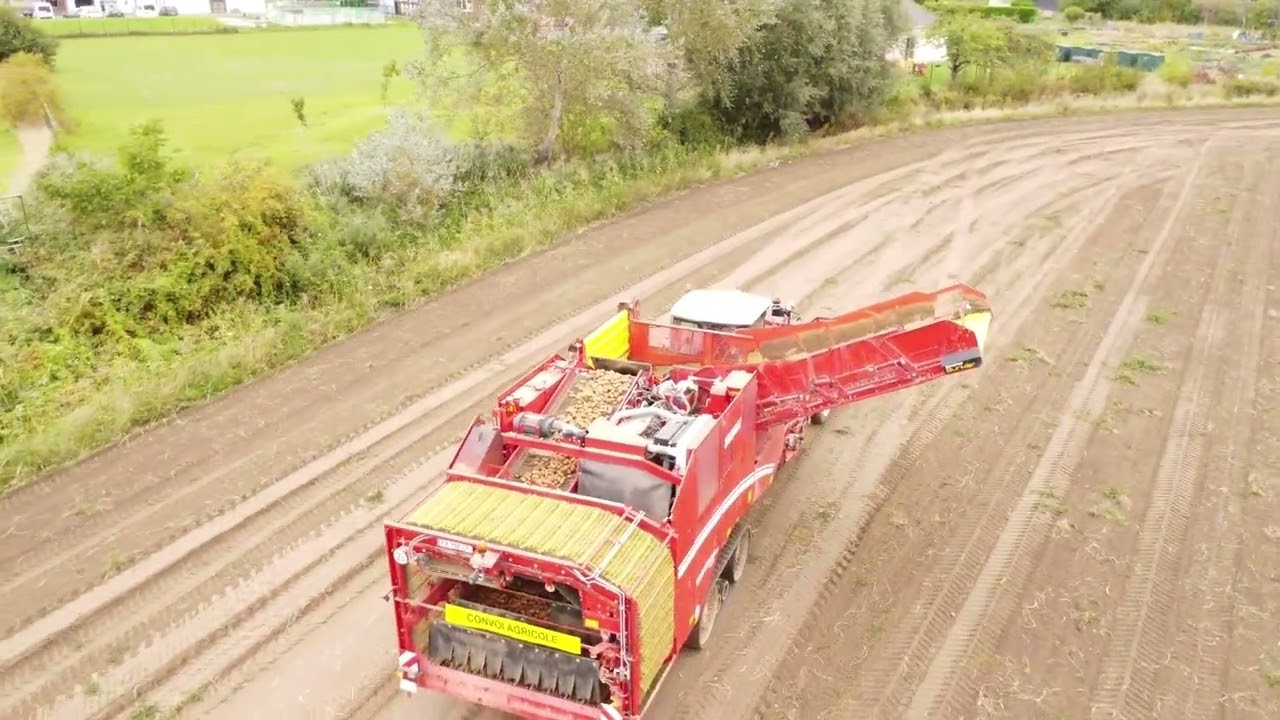 Arrachage de pommes de terre dans le Nord 🚜🥔 | Arracheuse 4 rangs, Fendt & Drone DJI Mini 4K