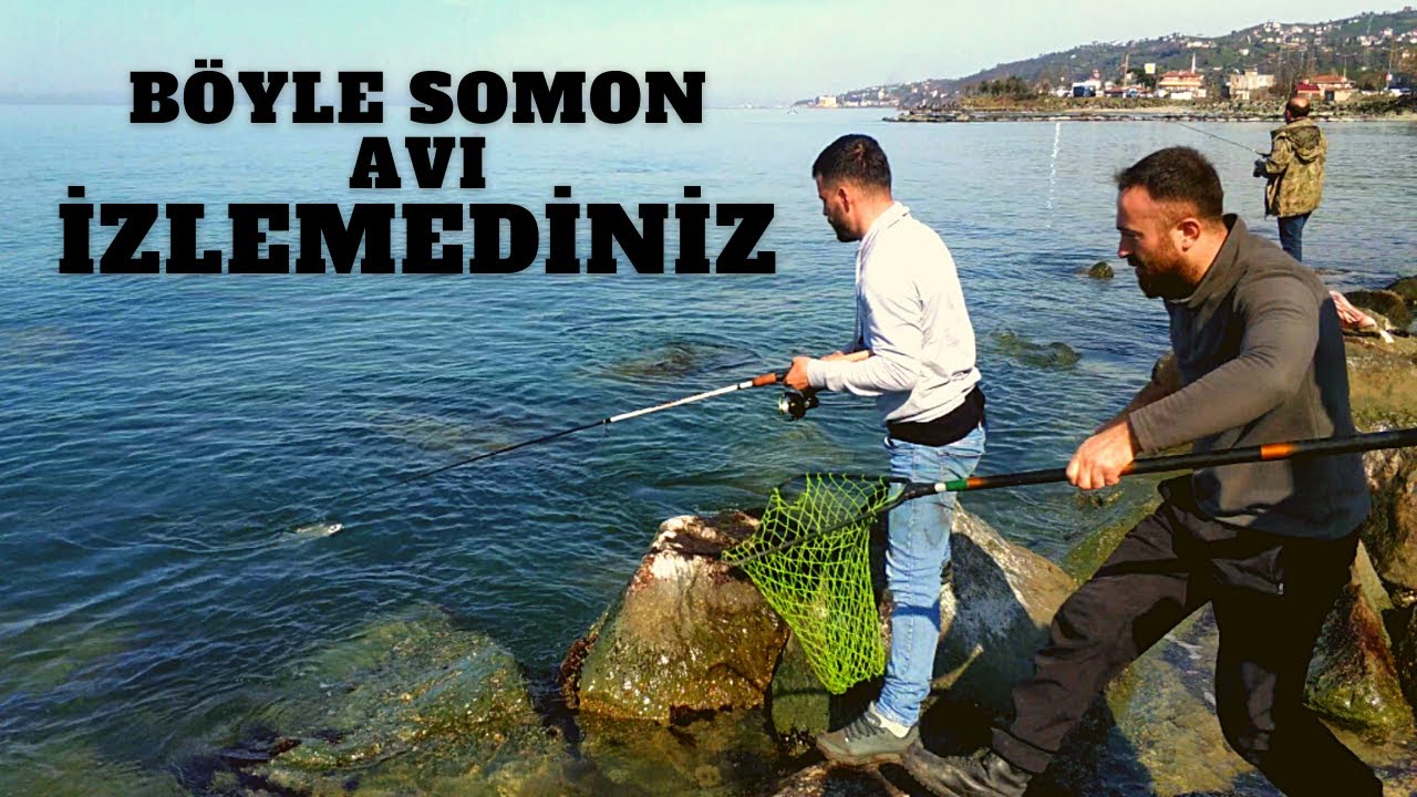 Trabzon'da Herkes İşsiz Kalacak.! Somon avı Trabzon Balık Avı
