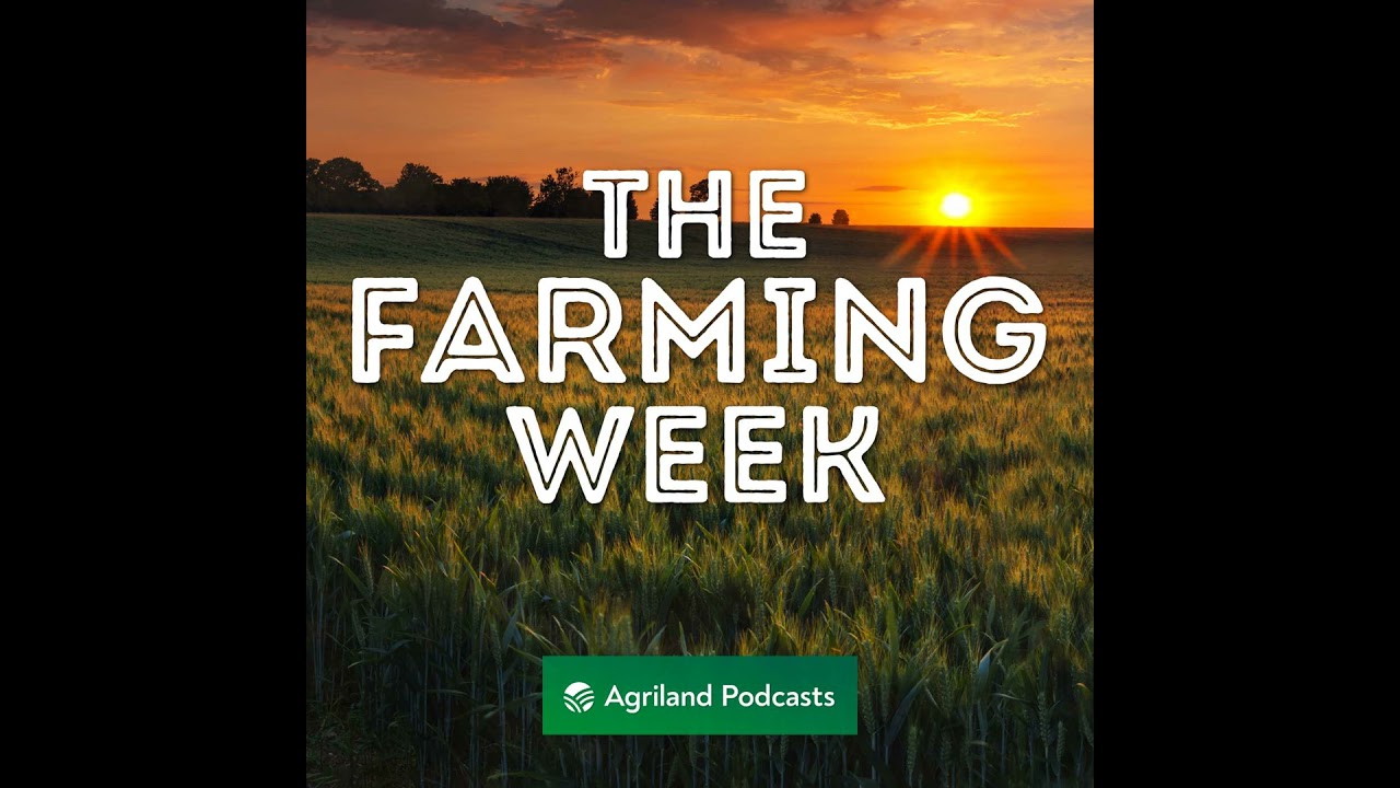 Bord Bia Controversy | Food Labelling | Hedge Cutting Deadline