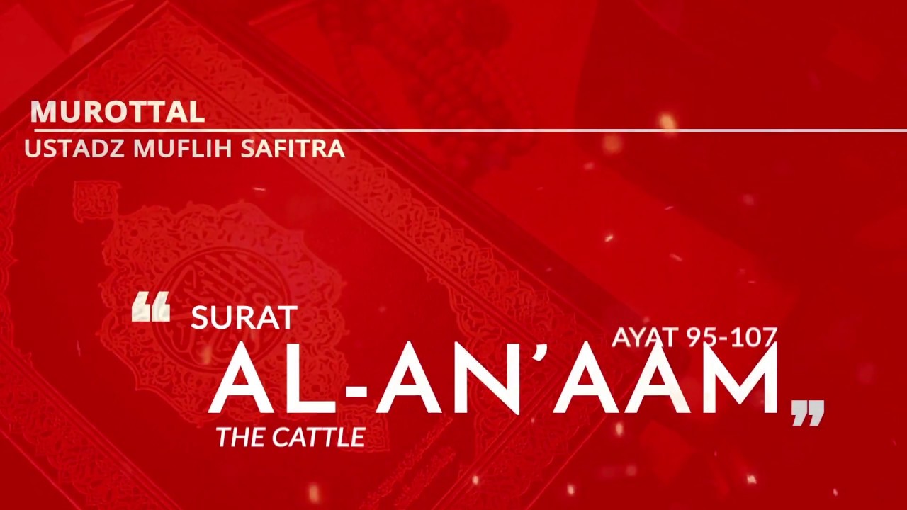 Murottal QS. 006: Surat Al-An'aam 95-107 - سورة الأنعام - (Ustadz Muflih Safitra)