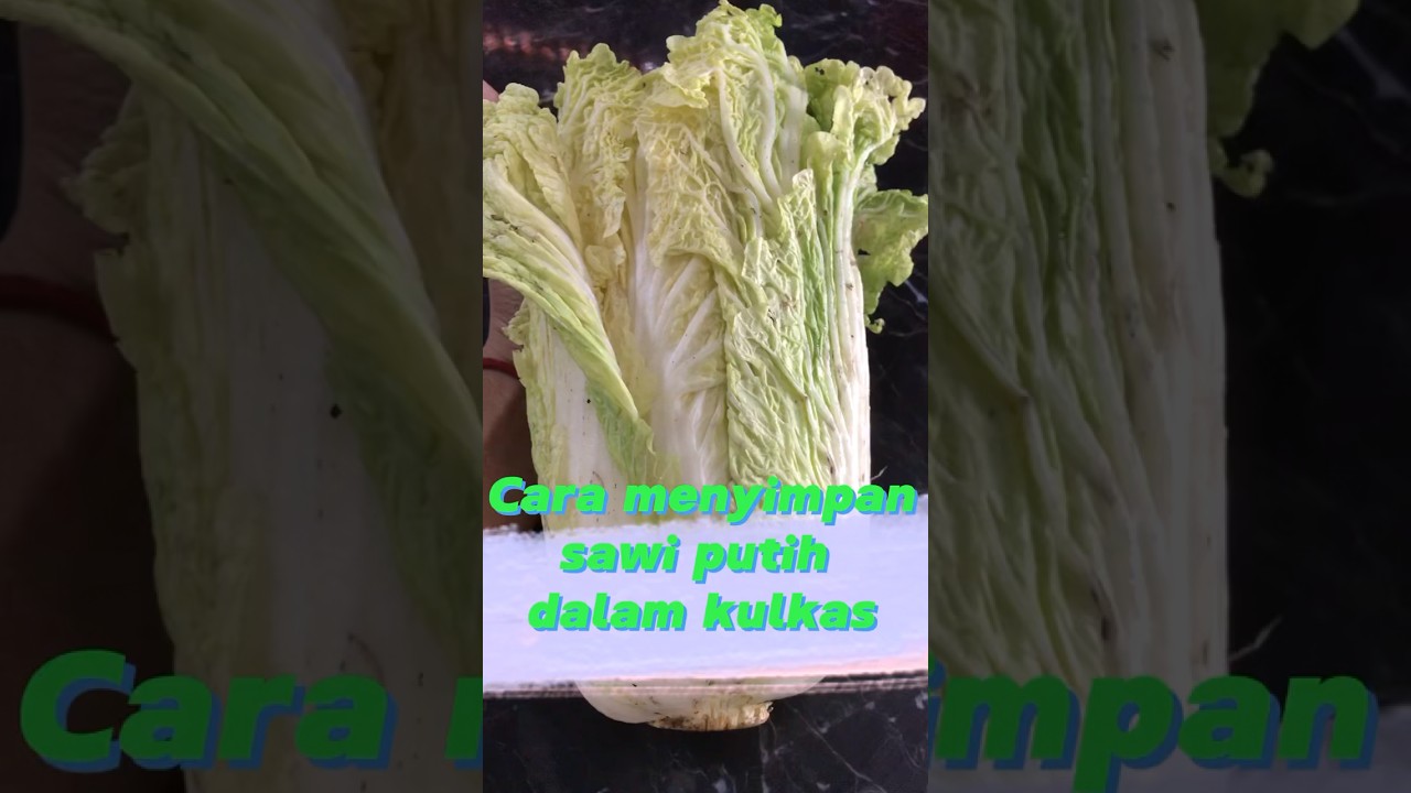 cara menyimpan sawi 