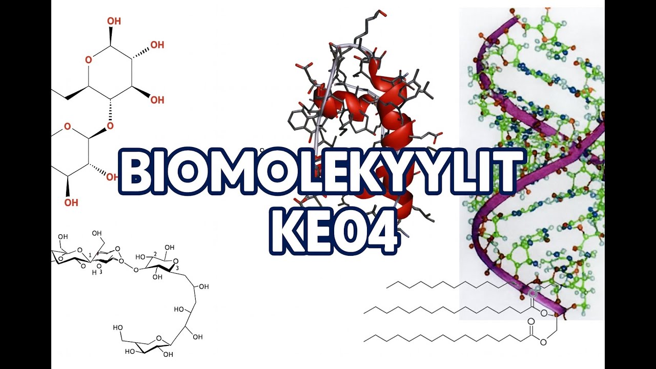 BIOMOLEKYYLIT (KE04)