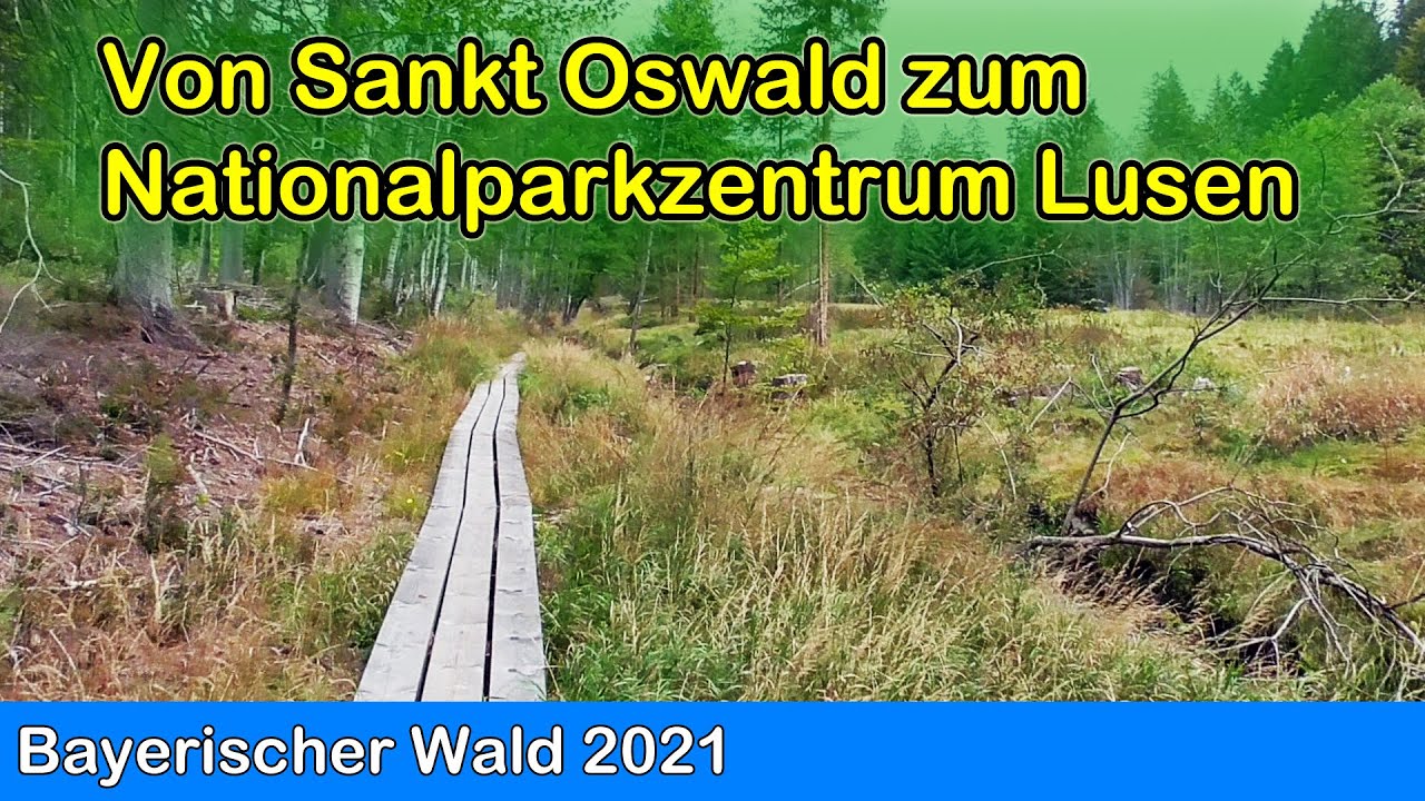Bayerischer Wald - Wanderung von St  Oswald zum Nationalparkzentrum Lusen
