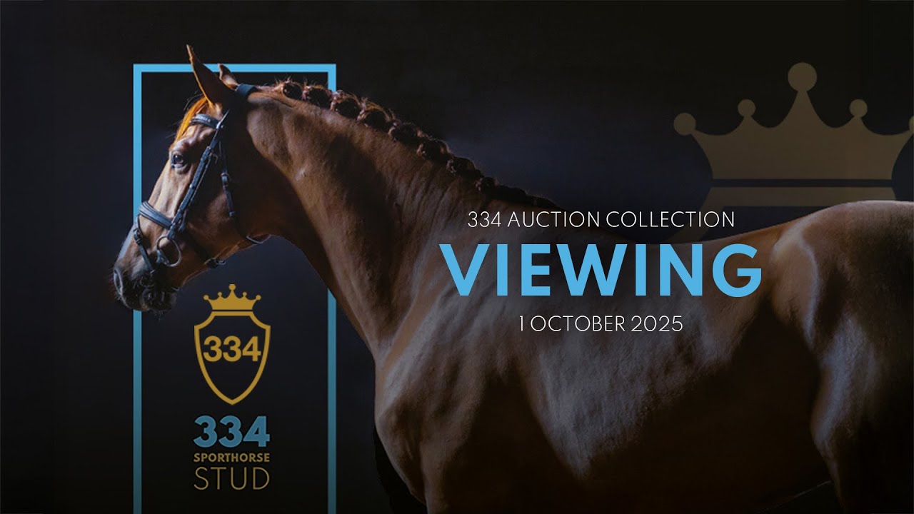 334 Sporthorse Stud Auction Collection Viewing, Wednesday, 1 October 2025