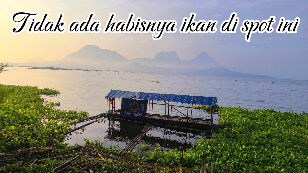 IKAN DI SPOT INI TIDAK ADA HABISNYA,REKOMENDASI SPOT PINGGIRAN,MANCING JATILUHUR TERBARU 2026