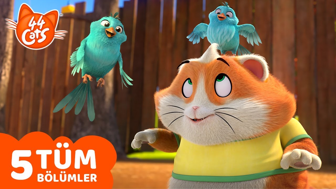 44 Kedi | TOP 5  Köfte Tam Bölüm | Çocuklar için çizgi film.
