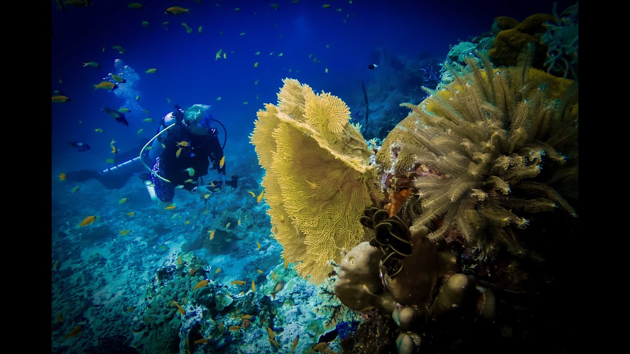 Scuba diving Similan Islands, Thailand - 2018 - MV Oktavia liveaboard