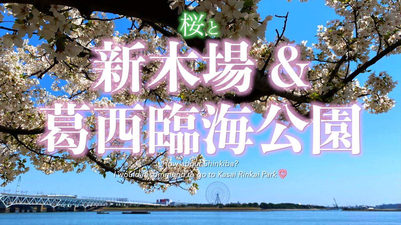 【桜と新木場と葛西臨海公園】桜で賑わう新木場〜若洲公園、東京ゲートブリッジ、葛西臨海公園