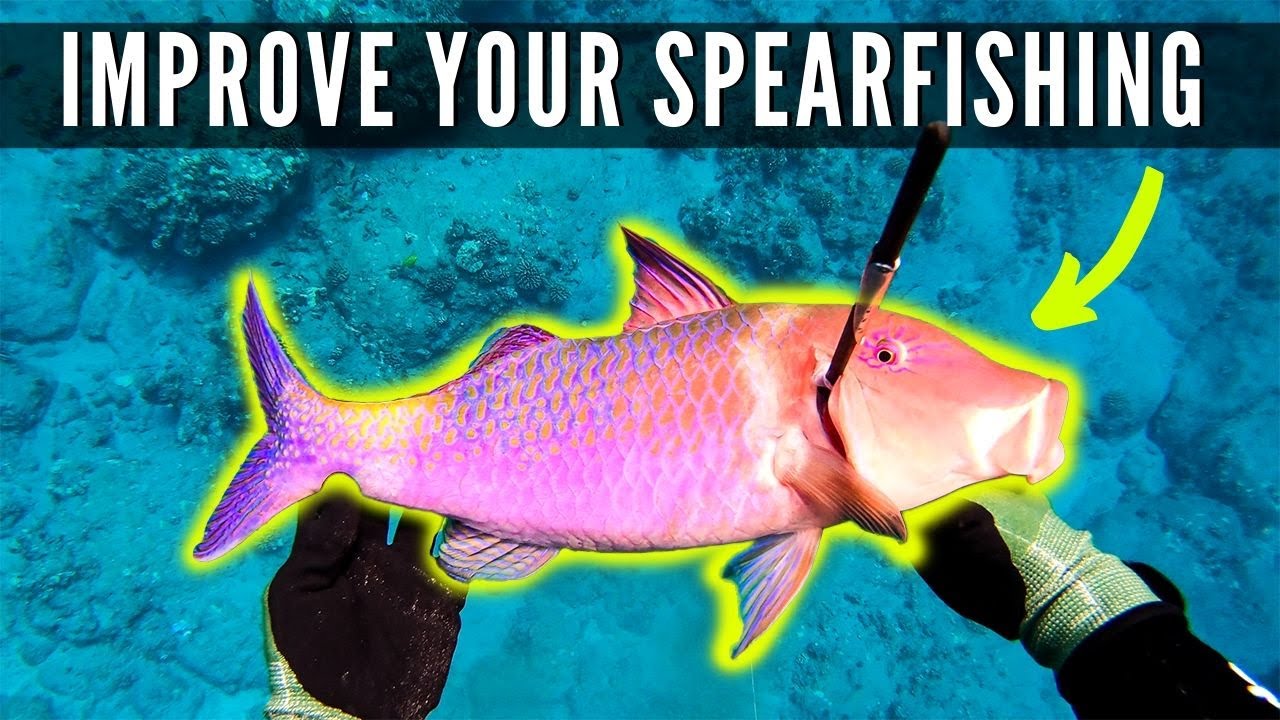 Tips to Improve Your Spearfishing in Hawaii {KnifeJaw Catch & Cook}