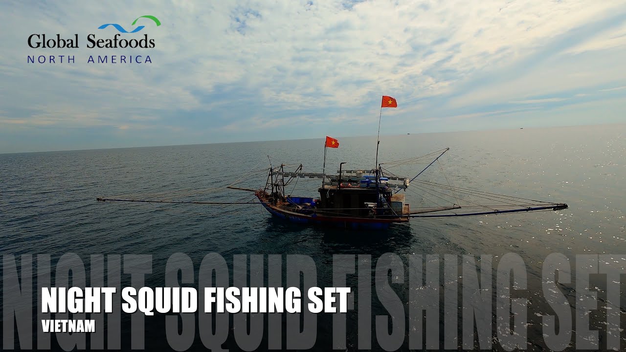 Vietnam Night Squid Fishing in Lang Co | Traditional Boat Rig & Lights (DJI Avata)