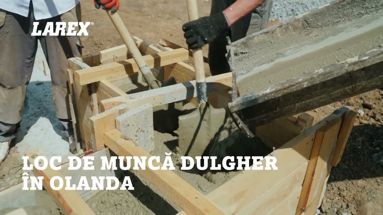 Loc de munca 𝐝𝐮𝐥𝐠𝐡𝐞𝐫 în Olanda