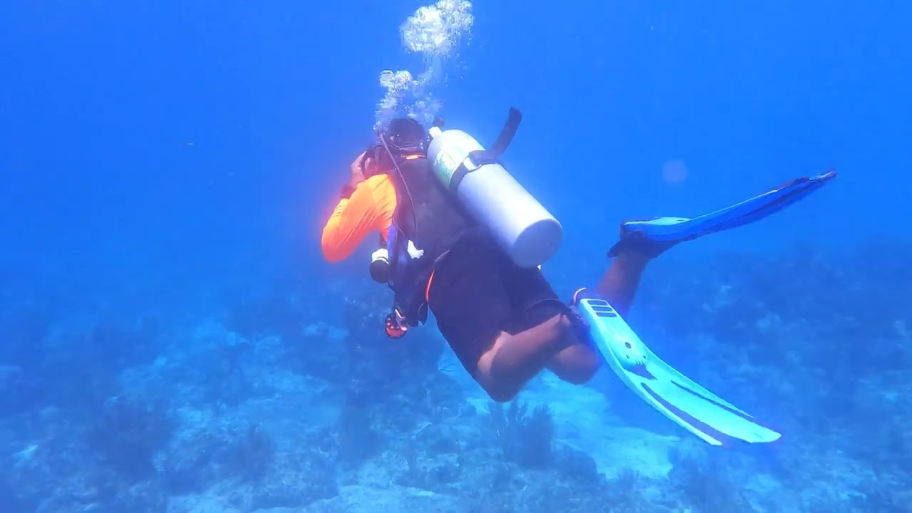 Roatan Dive -4