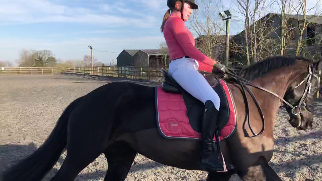 Golden Girl (Ella) M73 72.65% Full winning test