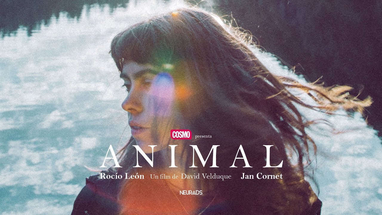 Trailer ANIMAL - un cortometraje de David Velduque