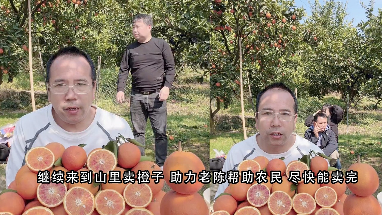 小陈的老挝媳妇儿   继续来到山里卖橙子 助力老陈帮助农民 尽快能卖完