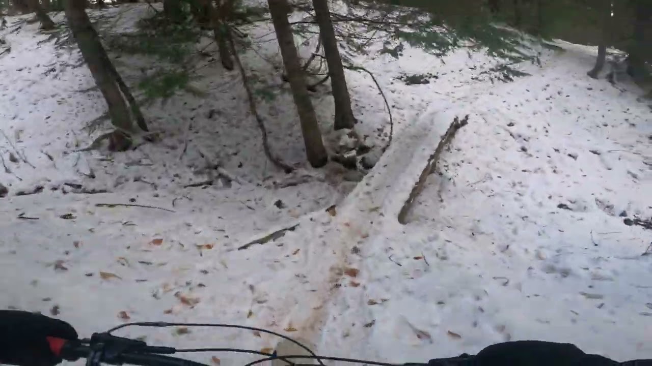 MTB Winter Swine Flu Fat Bike Rocky Mountain Blizzard Fernie
