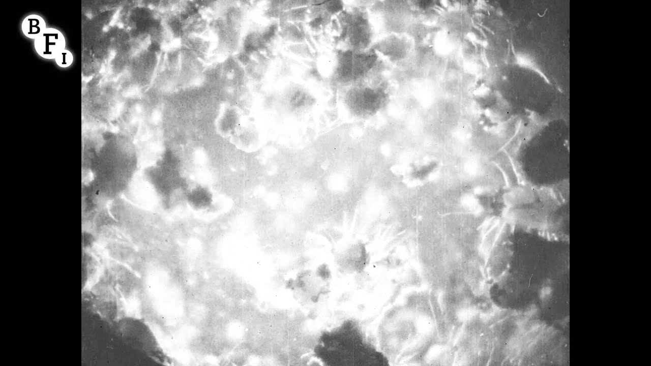 Cheese Mites (1903) | BFI National Archive