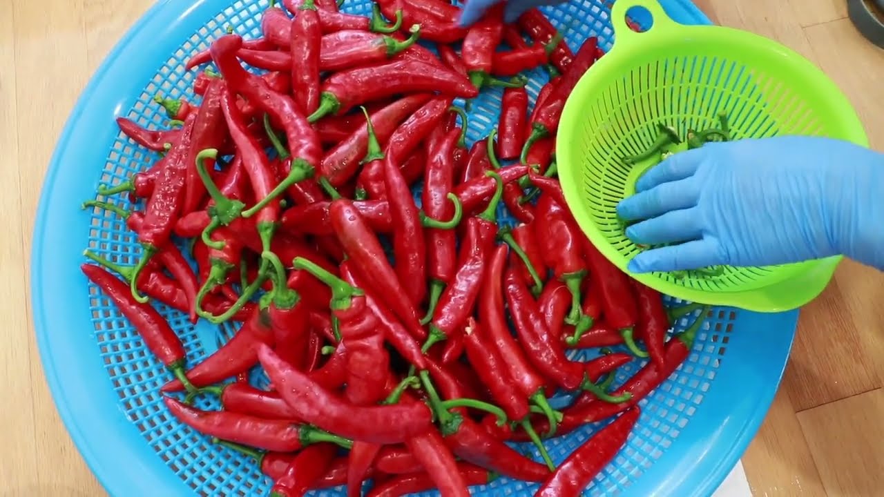 Pt1 Homemade Korean Style Chili Flakes Gochugaru (고춧가루 만들기 - 집에서 고추 말리기)
