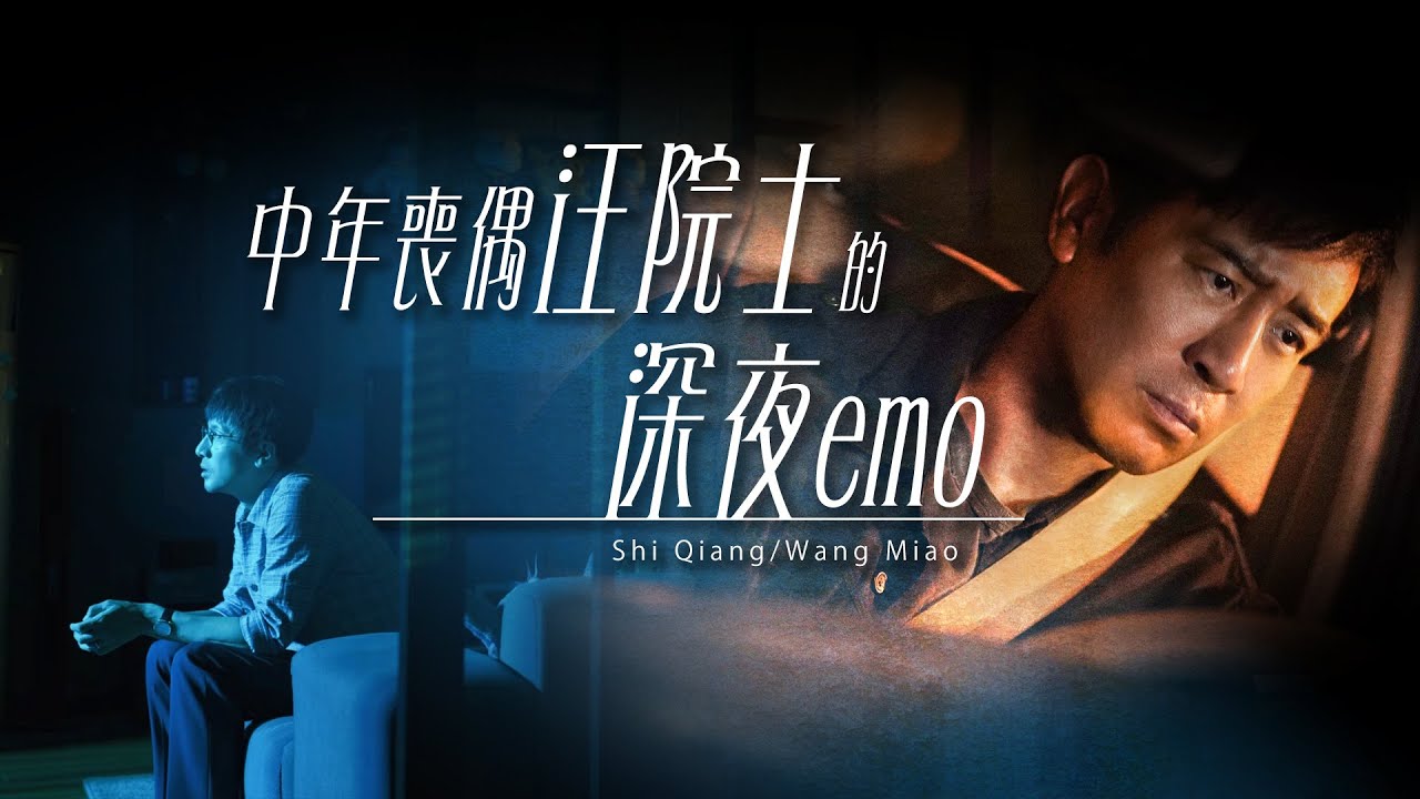 【地球汪史｜史汪】中年喪偶汪院士的深夜emo｜台詞向｜微劇情