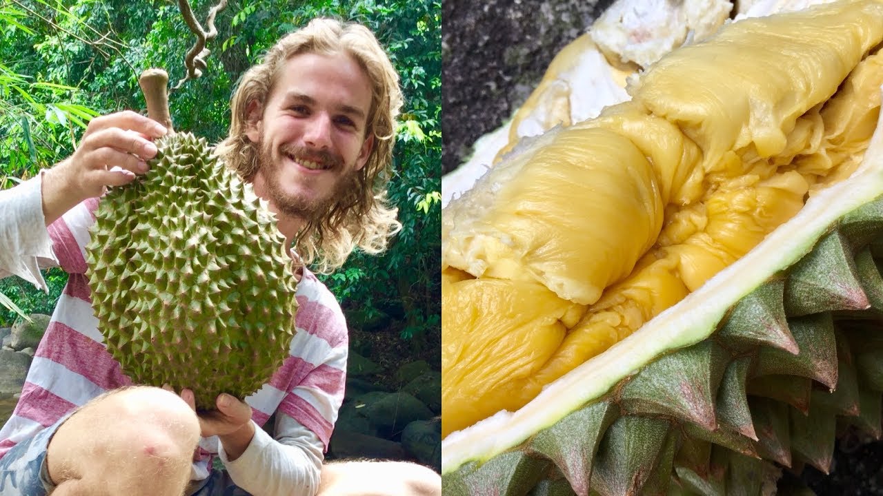 Have You Ever Seen A Durian This Big?