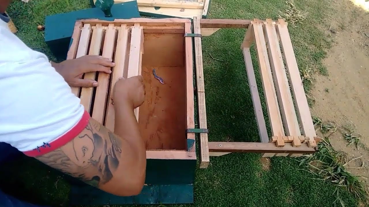 SUPORTE PARA QUADROS DE ABELHA DURANTE A MANUTENÇÃO NAS CAIXAS.