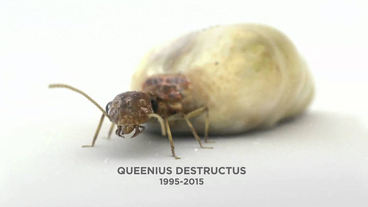 Terminix 2010 / TVC 'Termites'